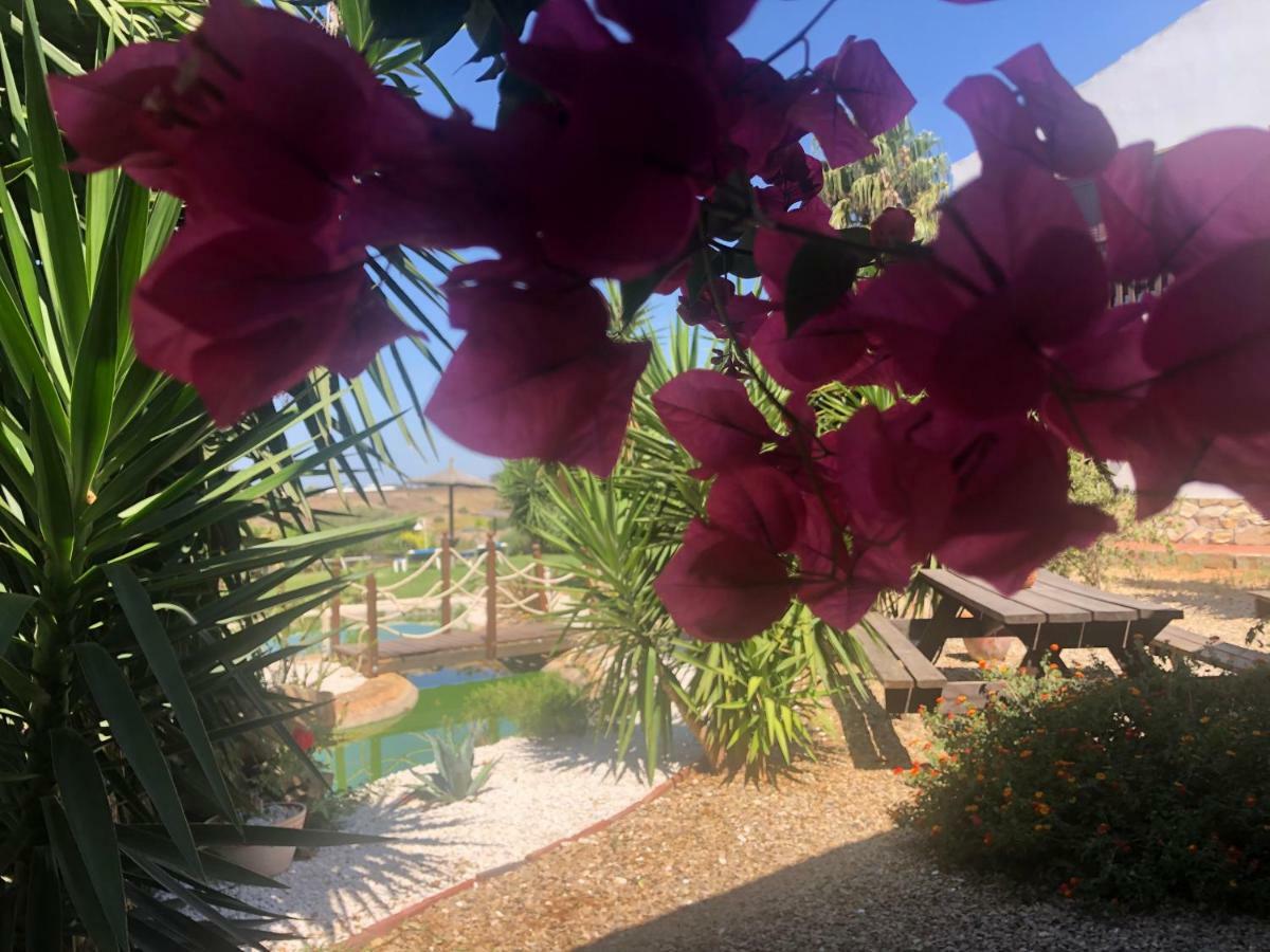 Finca Andalucia Conil De La Frontera Exterior foto